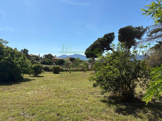 Bastelicaccia Vente Terrain 20