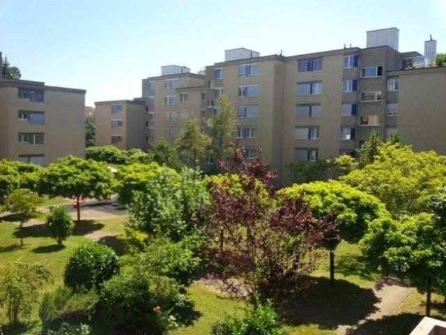 Bastelraum befristet zu vermieten in Zürich Altstetten!