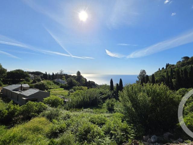 Bastia Vente Appartement 20