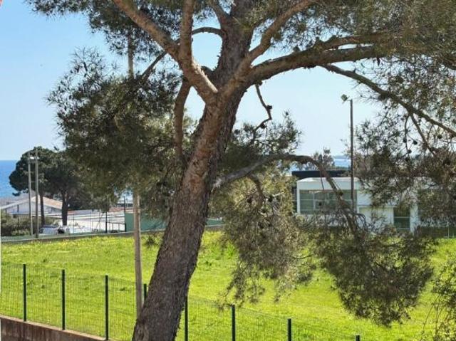 Bastia Vente Appartement 20