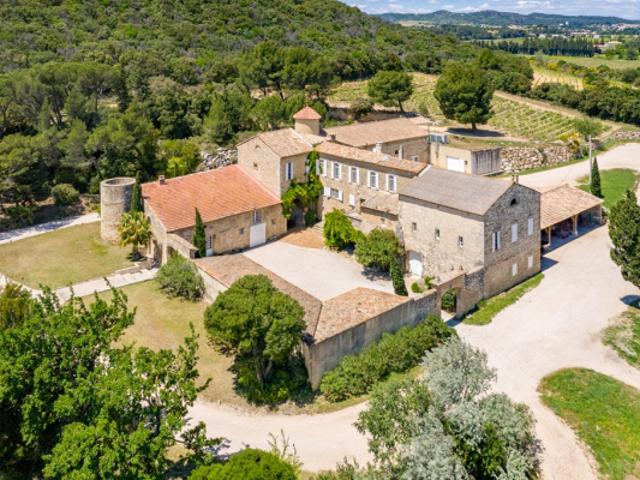 Demeure en Provence 55 hectares en vignes et bois Près