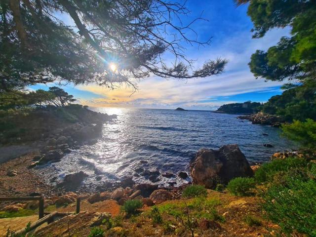 BAS DE VILLA T2 AVEC JARDIN A DEUX PAS DES PLAGES