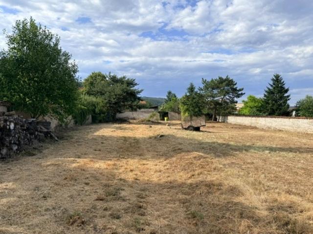 Bas en Basset Vente Terrain 43