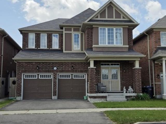 Basement 510 Eden Brook Hill Drive, Brampton, ON, L7A 4T7 house for lease | Listing ID W13539 | Royal LePage