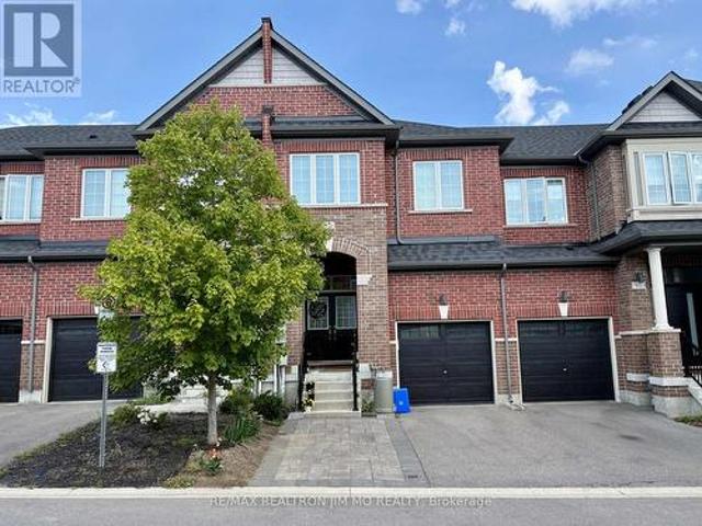 Basement 59 Dundonald Trail, Newmarket, ON, L3Y 0E1 house for lease | Listing ID N13714 | Royal LePage