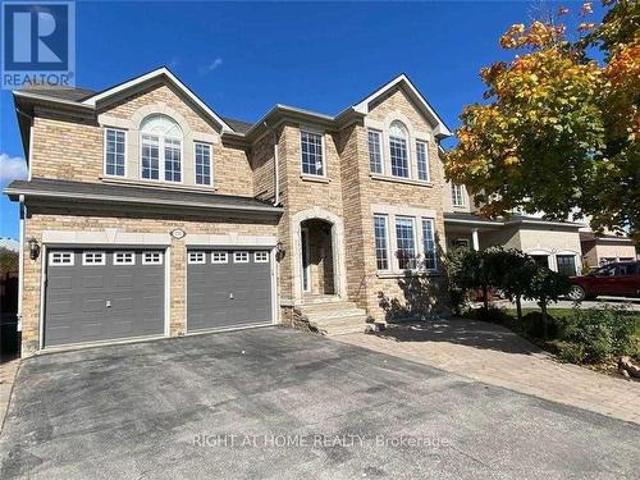 Basement 150 Maria Antonia Road, Vaughan, ON, L4H 2S8 house for lease | Listing ID N13138 | Royal LePage