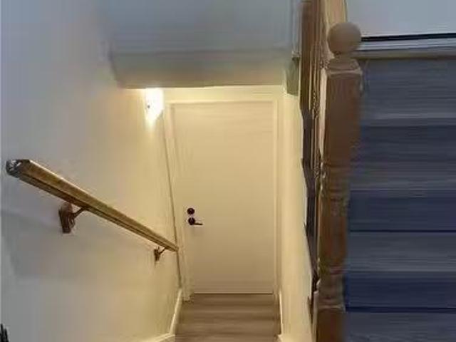 Basement 162 Ontario Street S, Milton, ON, L9T 2M8 house f.