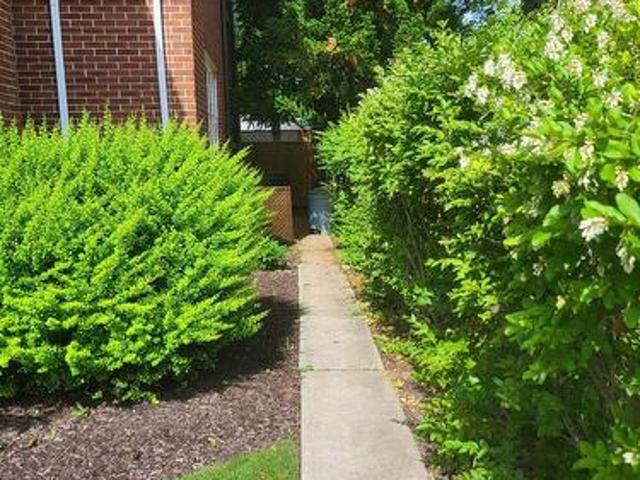 Basement 1 Wychwood Road, St. Catharines Old Glenridge, ON, L2R 3R8 house for lease | Listing ID X13442 | Royal LePage