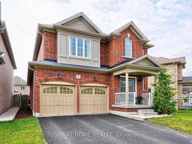 Basement 31 Swansea Street, Whitby, ON, L1P 0B3 house for lease | Listing ID E13580 | Royal LePage