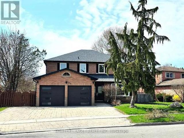 Basement 366 Waratah Avenue, Newmarket, ON, L3Y 7T6 house for lease | Listing ID N13514 | Royal LePage