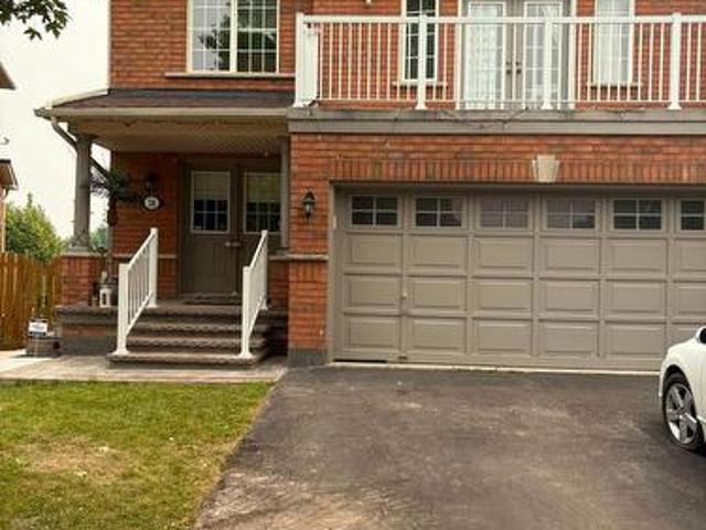 Basement 38 Dells Crescent, Brampton, ON, L7A 2K4 house for lease | Listing ID W13577 | Royal LePage