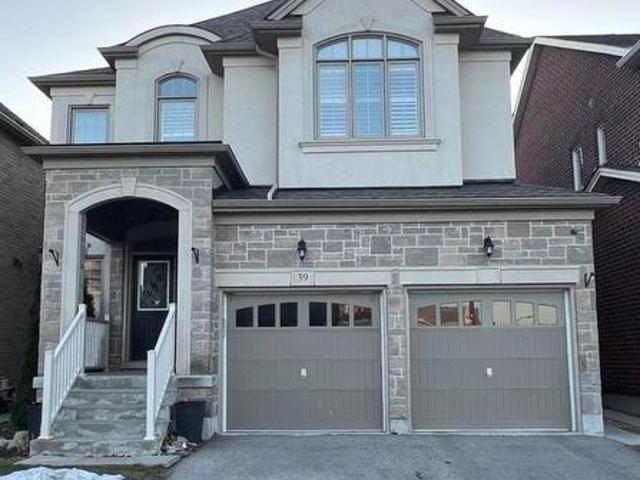 Basement 39 Little Britain Crescent, Brampton, ON, L6Y 0E3 house for lease | Listing ID W13436 | Royal LePage