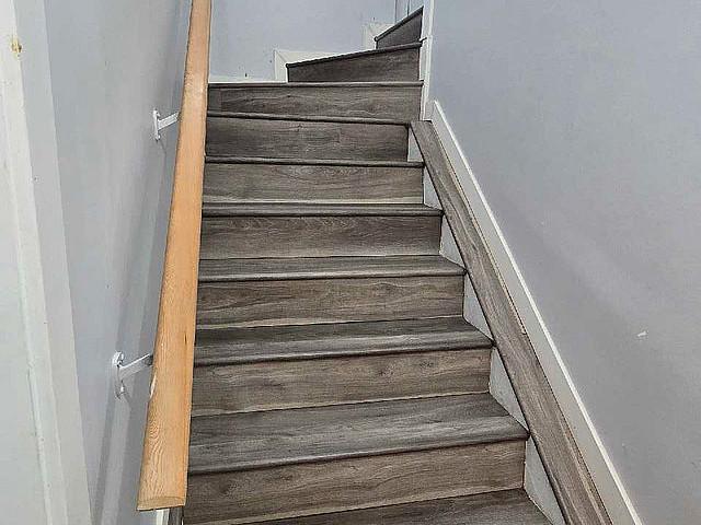 Basement For Rent