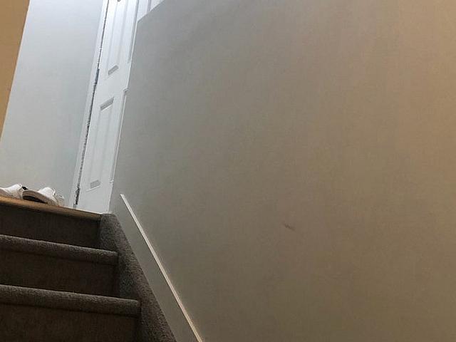 Basement For Rent Ne Cornerstone
