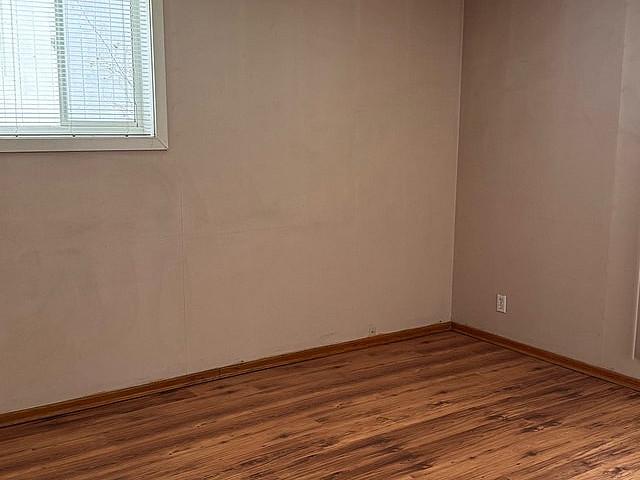 Basement Suite For Rent