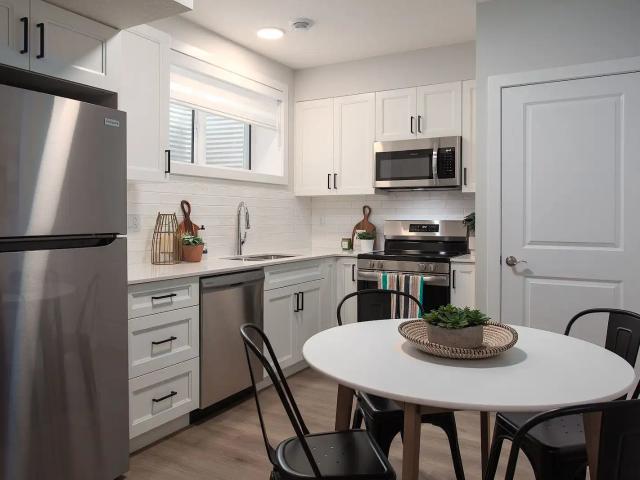 Basement Suite New Build