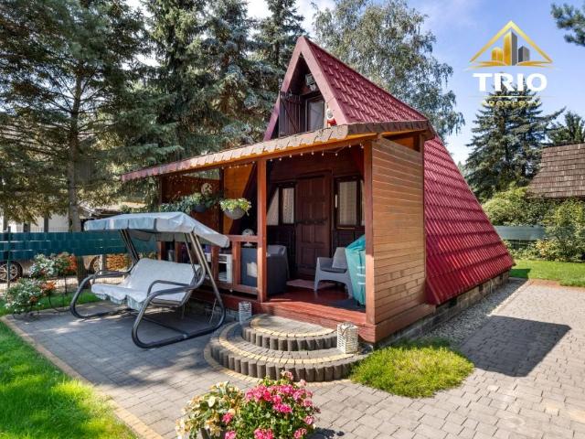 Basi 35 m², Łosie