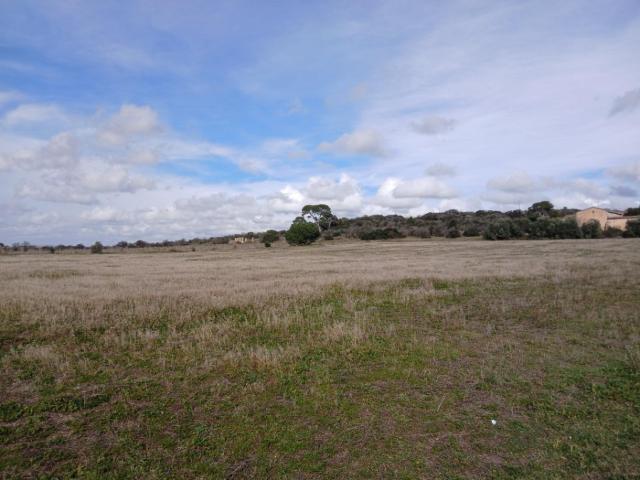 Bassan Vente Terrain 34