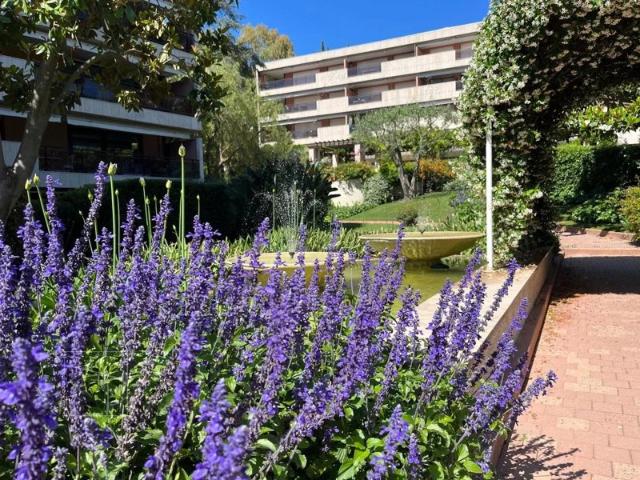 Basse californie rare sur le marché 3p terrasse 34 m2 sud ouest
