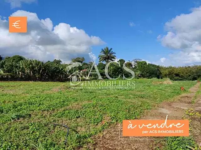 Basse Pointe 97218 Achat / Vente terrain