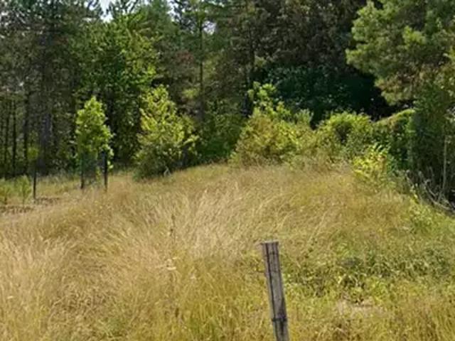 Bassillac et Auberoche 24330 Programme neuf terrain neuf à vendre