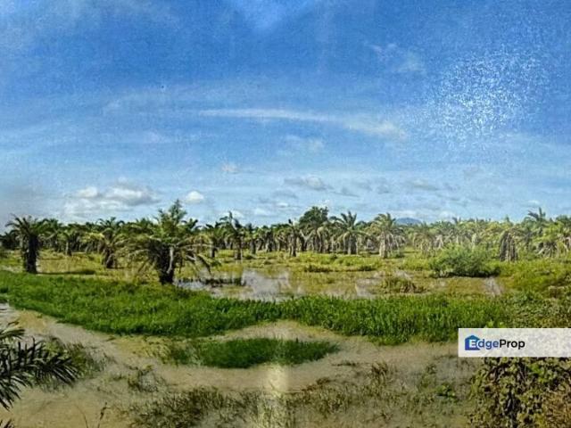 Batu Pahat Land