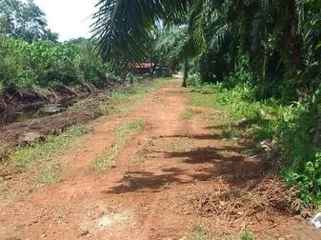 Batu Tiga