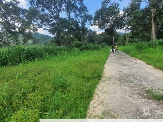 Batu 14