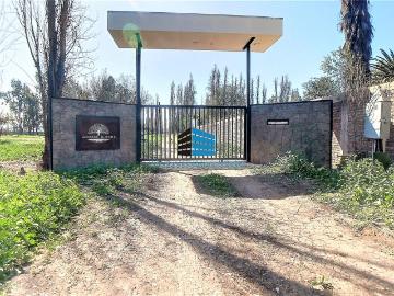 Batuco cercano a condominio Algarrobo