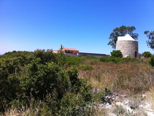 Batalha Leiria 96292690