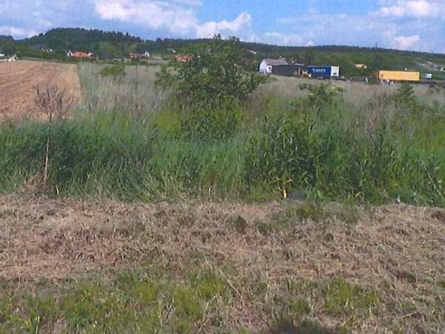 Batalionów Chłopskich 1 762 m², Pińczów