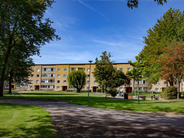 Bataljonsvägen 46