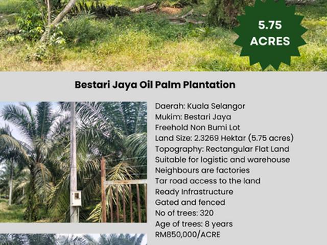 Batang Berjuntai @ Bestari Jaya