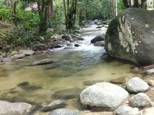 Batang Kali Malay Reservation