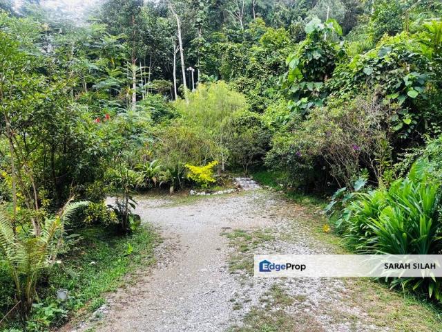 Batang Kali Malay Reservation