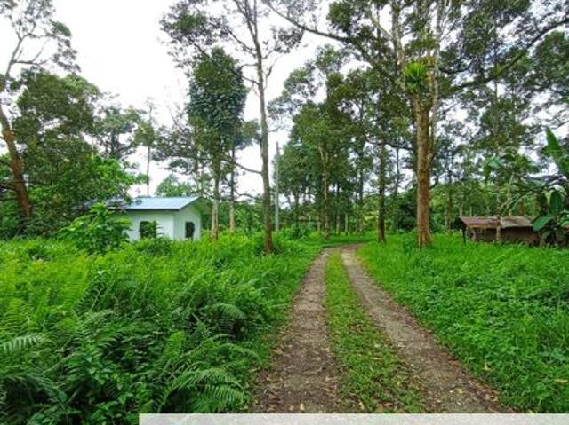 Batang Kali Malay Reservation