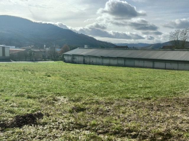 Bâtiment agricole plus terrain constructible