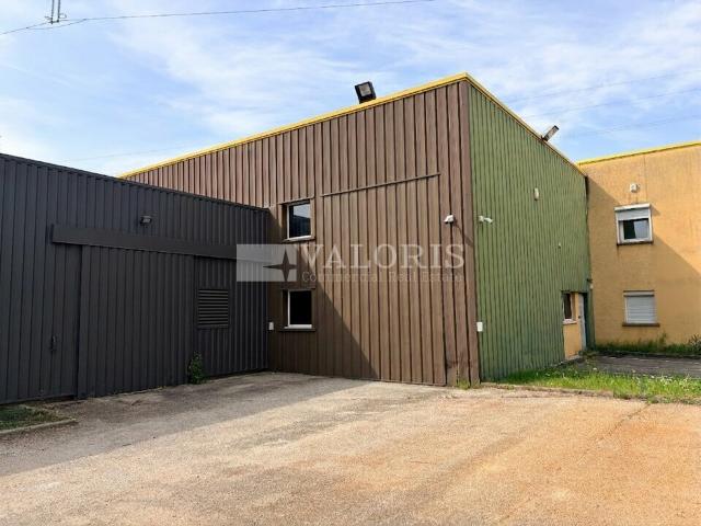 Bâtiment d'activité à vendre Beynost Accès plain pied