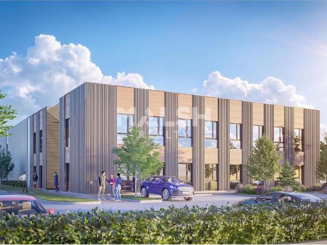 Batiment d'activités neuf à vendre Rillieux la Pape