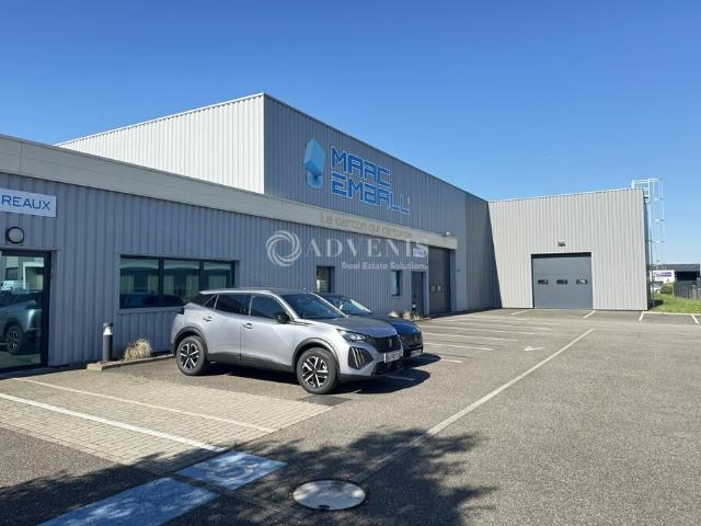 Bâtiment d'activités avec bureaux à vendre Hoerdt Zone du Birken