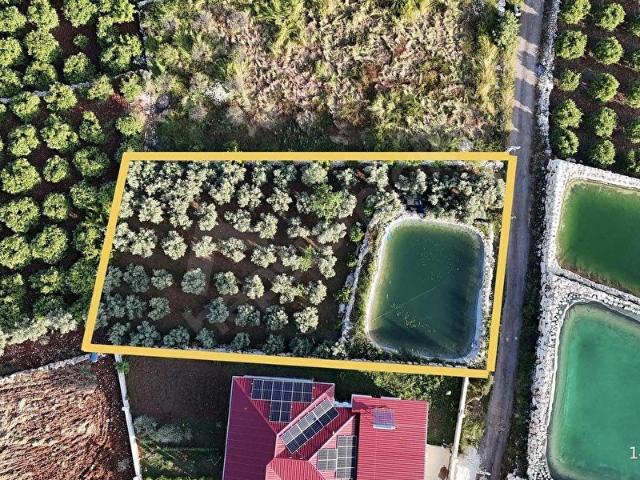 BATISANDALDA 2 KAT KONUT İMARLI VİLLALIK ARAZİ