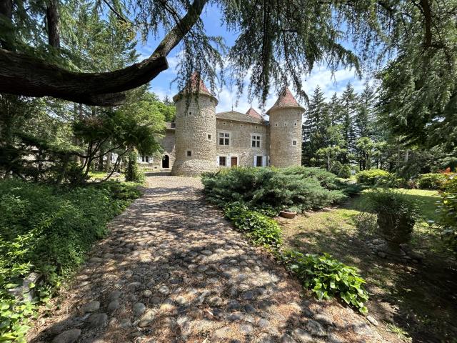 Bâtisse en pierres 329 m2 329m² Albon