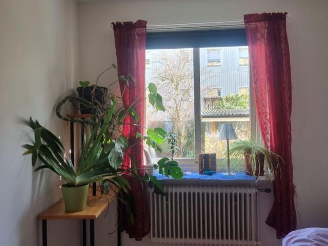 Bautastensgatan, Göteborg