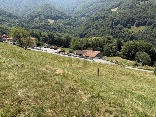 PROGETTO EDILIZIO APPROVATO CON STUDIO DI PROGETTO