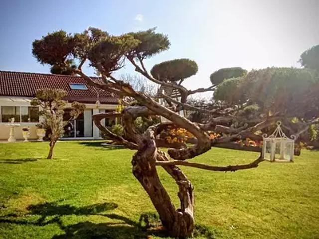 Baudreix 64800 Achat / Vente maison 7 pièces t7 jardin terrasse