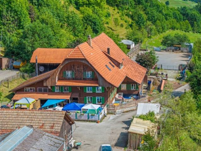 BAUERNHAUS MIT 700 MÂ² NUTZFLÃ„CHE AUF 26& 8217 000 MÂ² PARZELLE