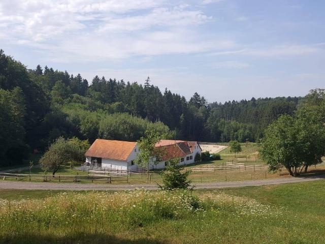 Bauernhaus mit wunderschönen Arkaden in idyllischer Alleinlage