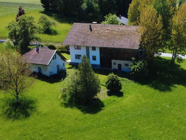 Bauernhaus mit Stall und Austragshäusl im Mischgebiet mit viel Grund & Boden für vielseitigste Verwendungszwecke