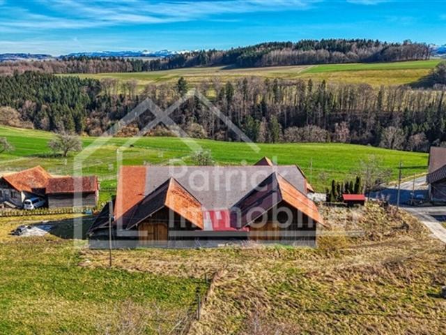 Bauernhaus in Dorfzone mit renovierter Wohnung und Entwicklungspotenzi
