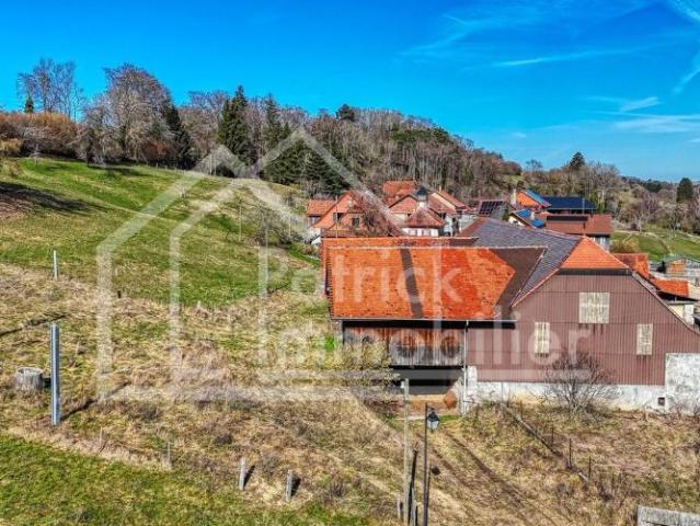Bauernhaus 3.5 Zimmer